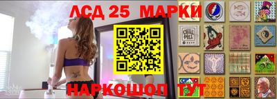 прущие грибы Заводоуковск
