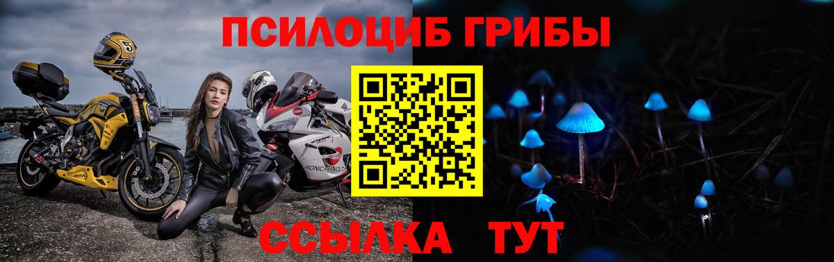 Псилоцибиновые грибы MAGIC MUSHROOMS Мичуринск